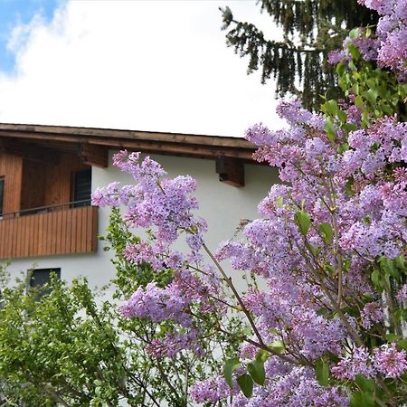 Apartmán Tgesa Zundregn Savognin Exteriér fotografie